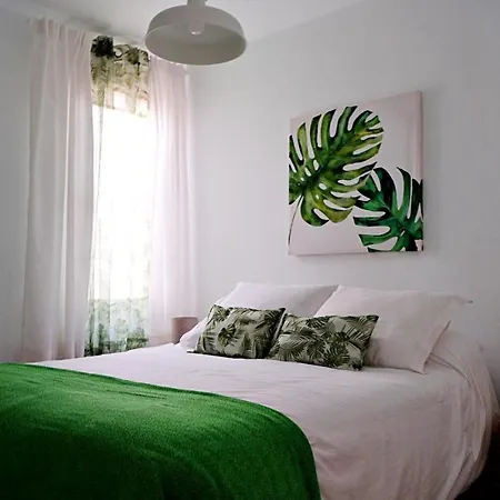 Appartement Playa Roca *